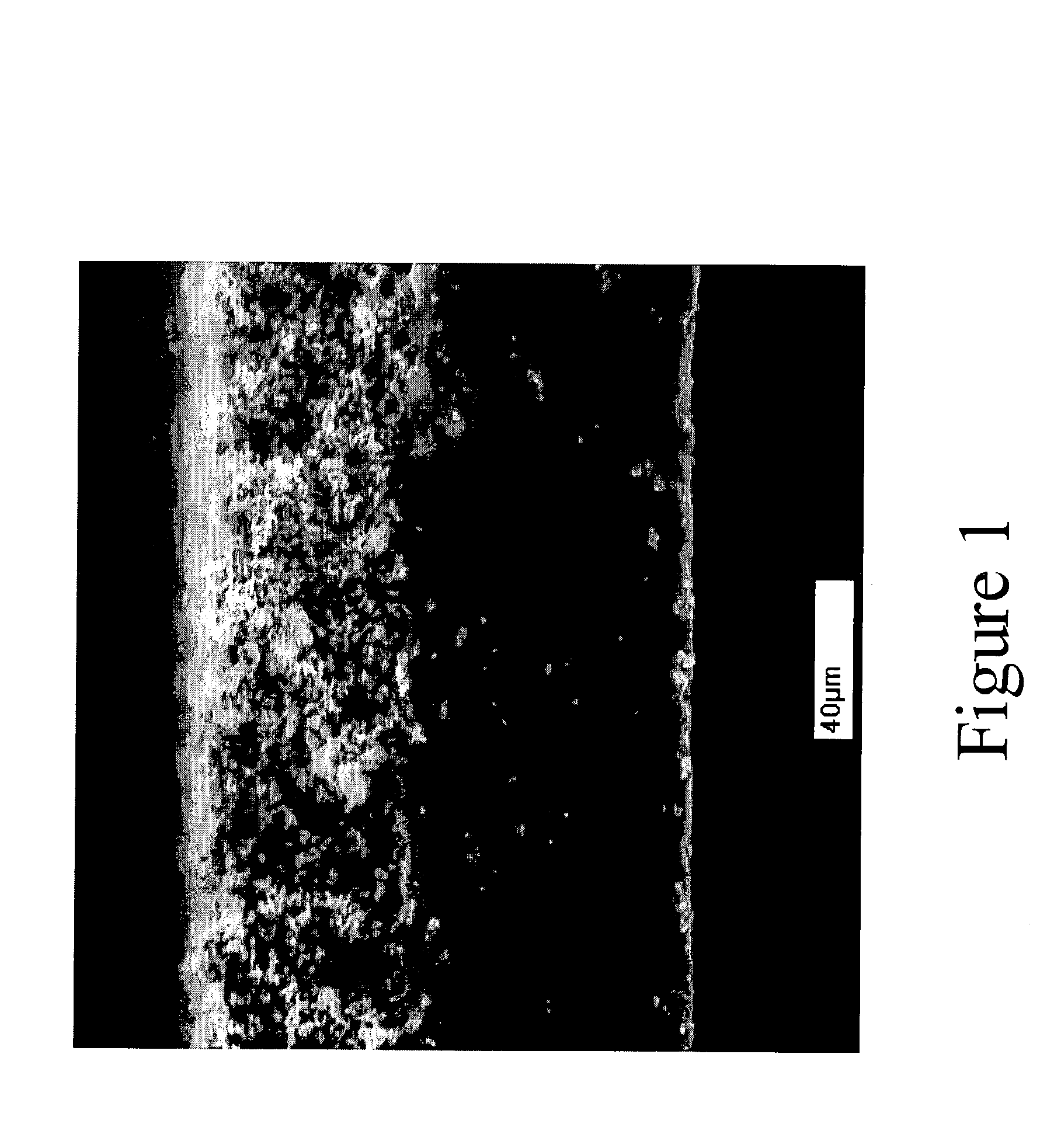 Spatially-controlled modified porous membrane