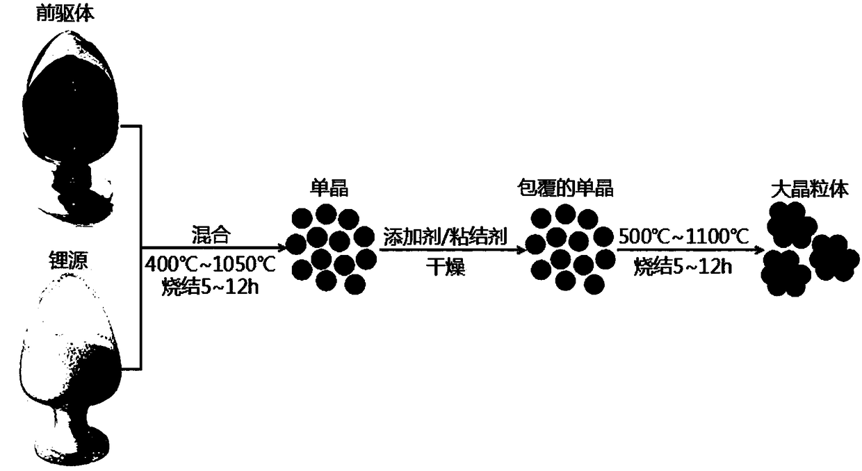 Large-crystal ternary positive electrode material of lithium ion battery and preparation method of large-crystal ternary positive electrode material