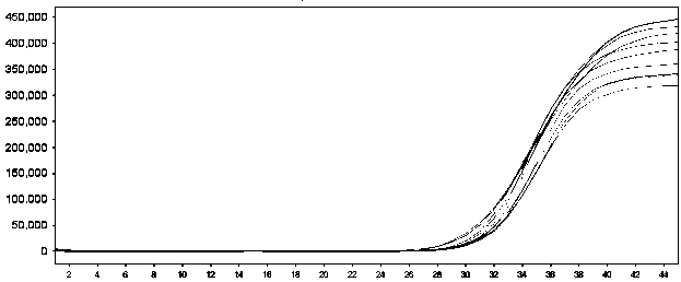 Dual detection kit for 2019 novel corona virus