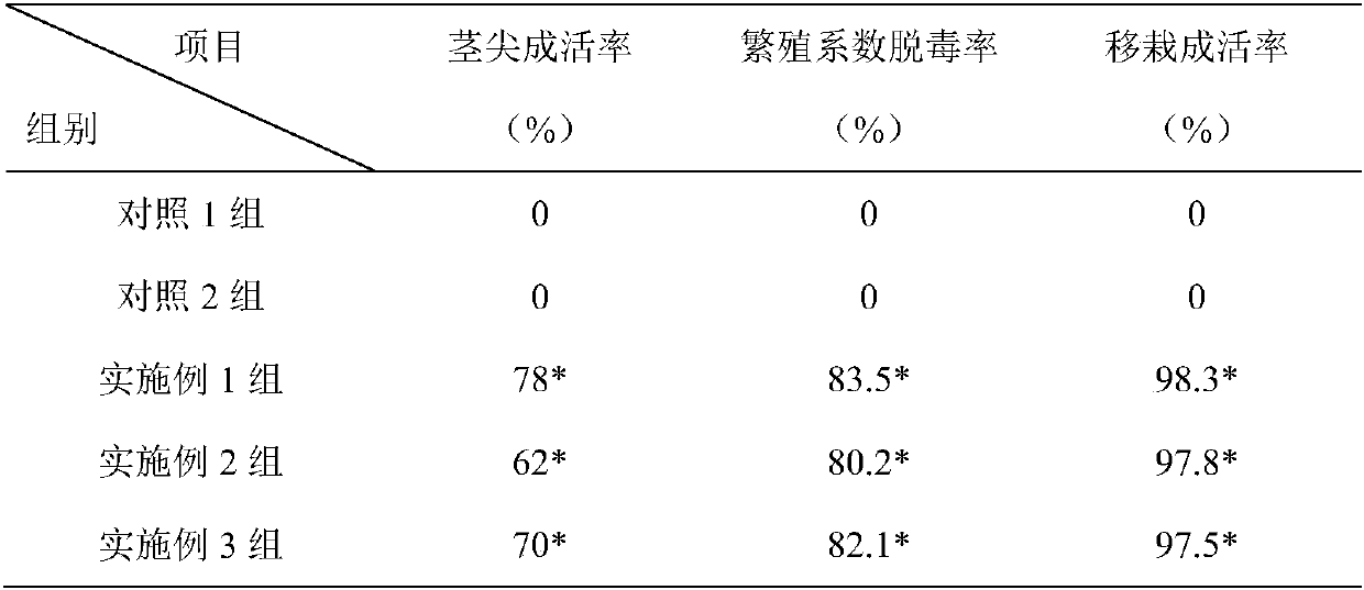 A method for detoxification and rapid propagation of kiwifruit stem tips