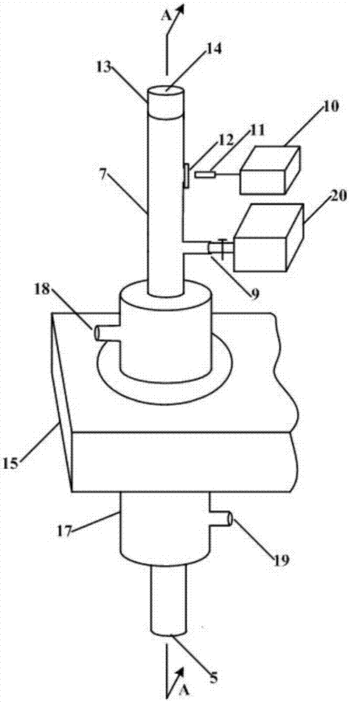 Trace element detection device based on plasma surface wave excitation