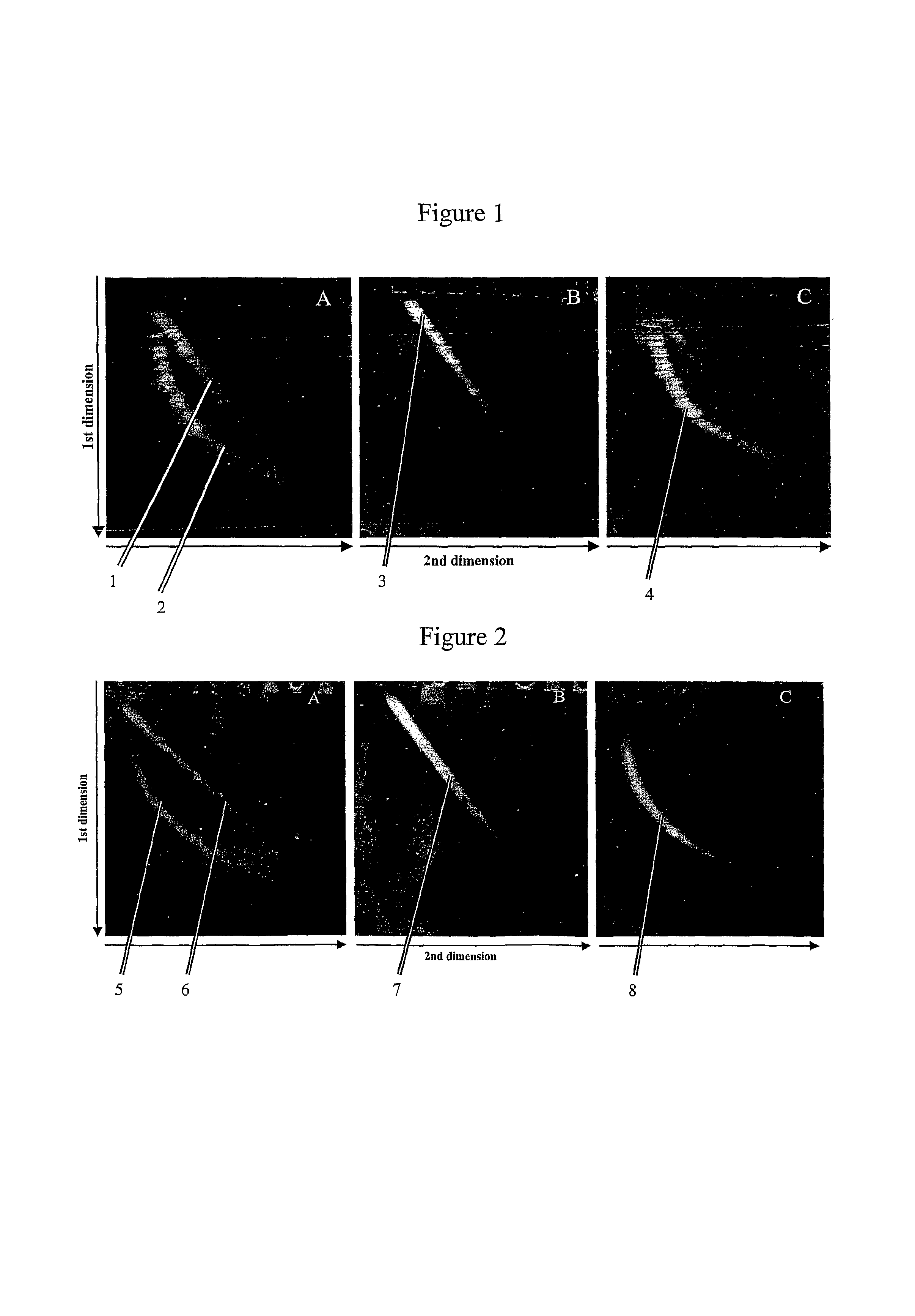 Two-dimensional strandness-and length-dependent separation of nucleic acid fragments