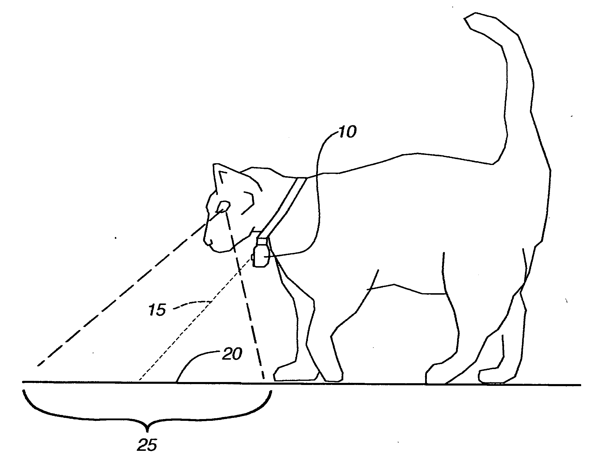 Pet exercise and entertainment device