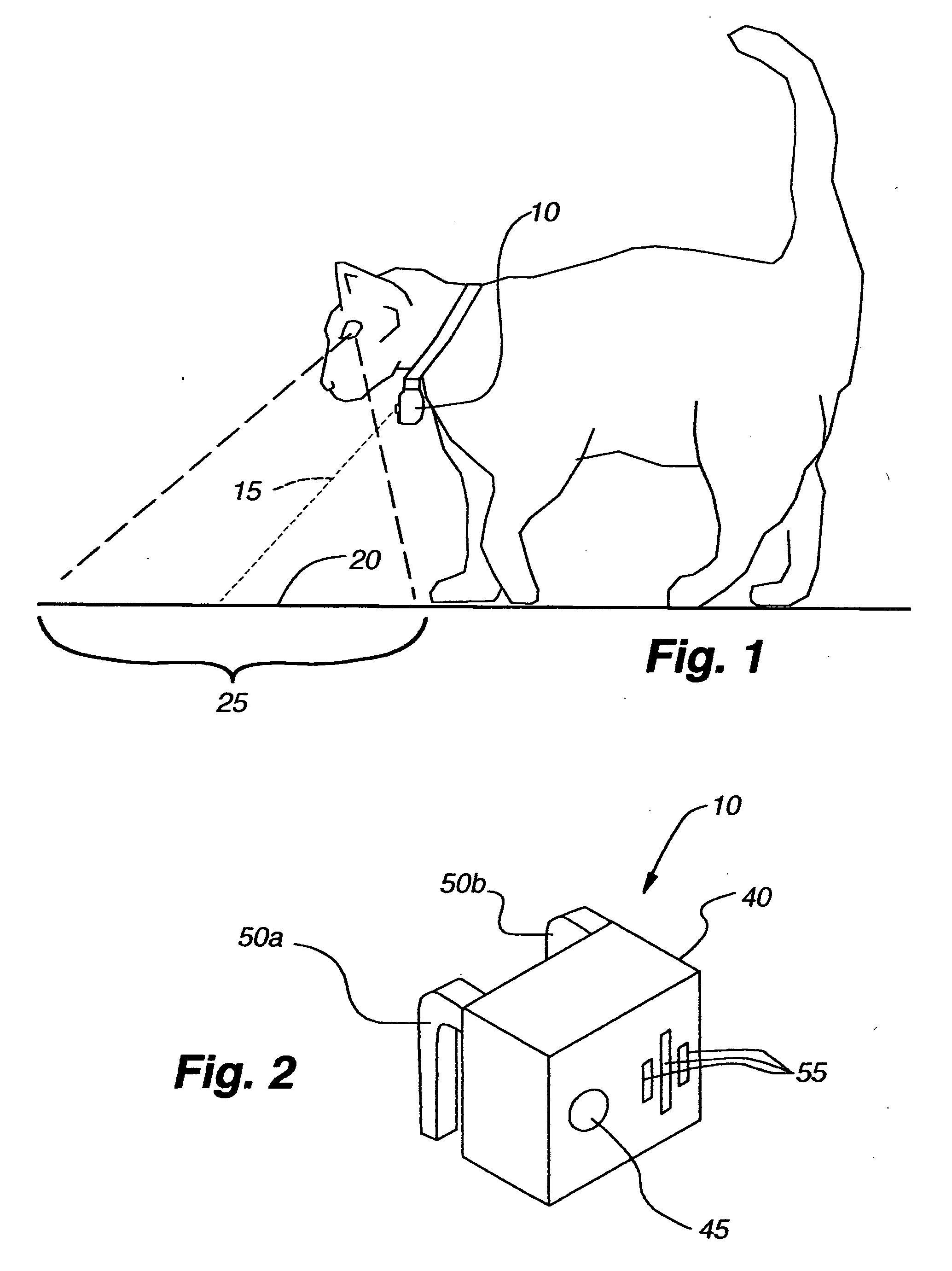 Pet exercise and entertainment device