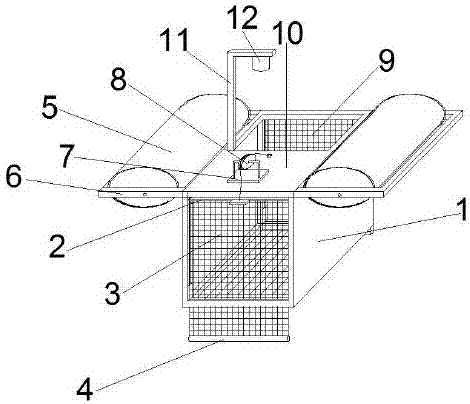 Adjustable lift fish net