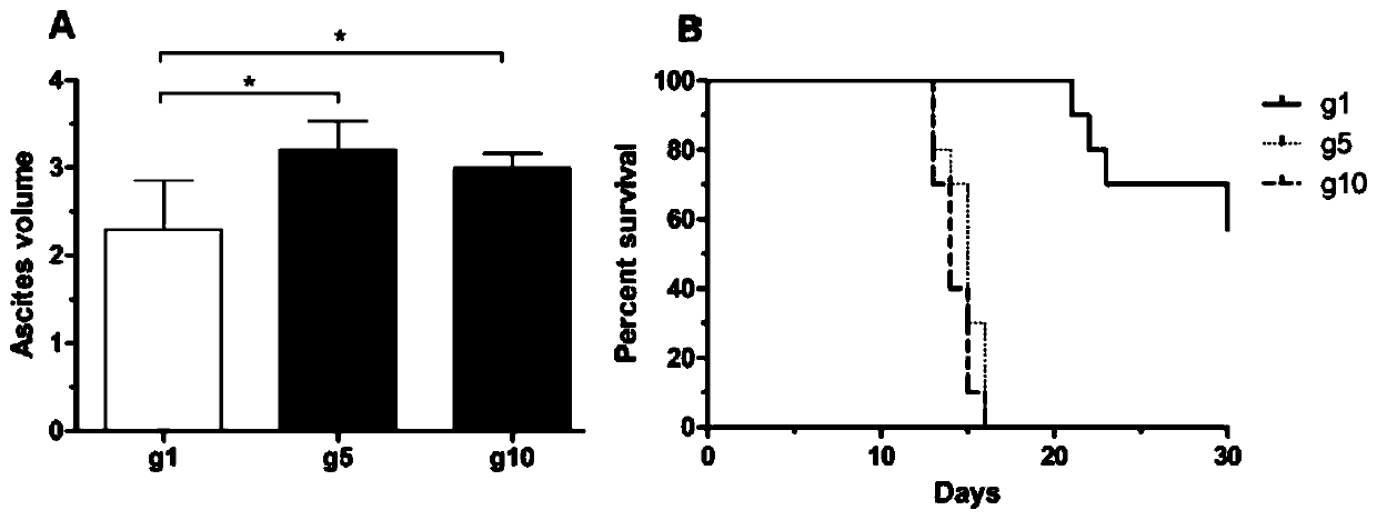 Building method of pancreatic cancer ascites mouse animal model