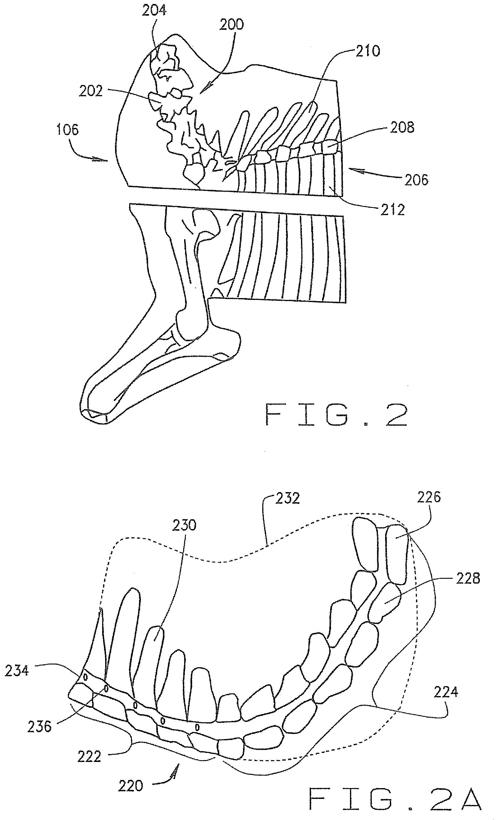 Method and apparatus to load and remove bones from primals