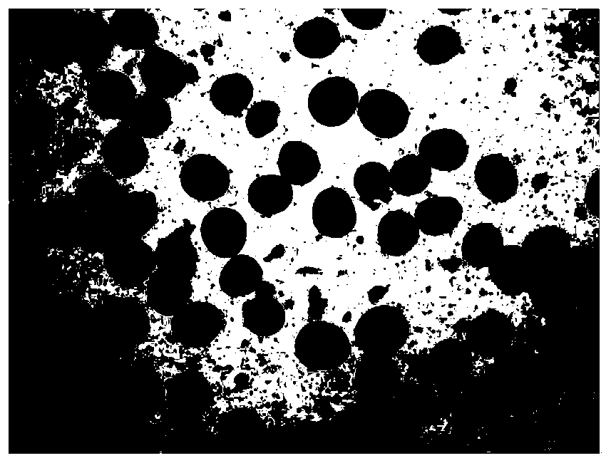 Method for cultivating high-fecundity allotetraploid corn