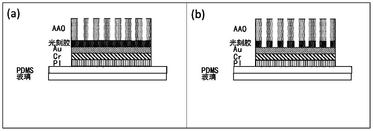 Flexible bioelectrode and preparation method thereof