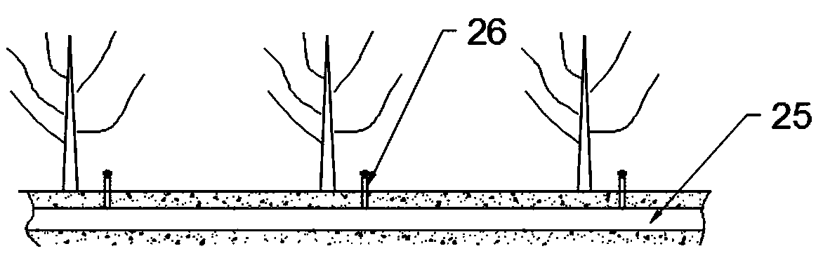 Carpet type water and fertilizer integrated irrigation system and method