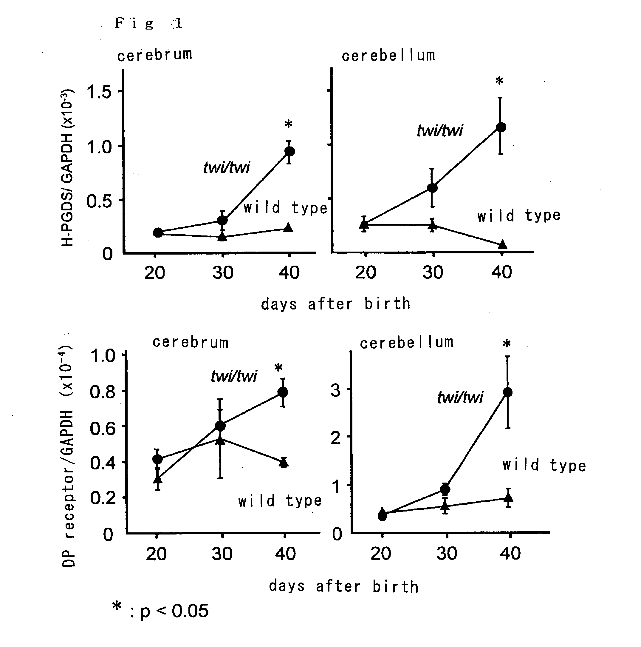 Drugs for improving the prognosis of brain injury and a method of screening the same