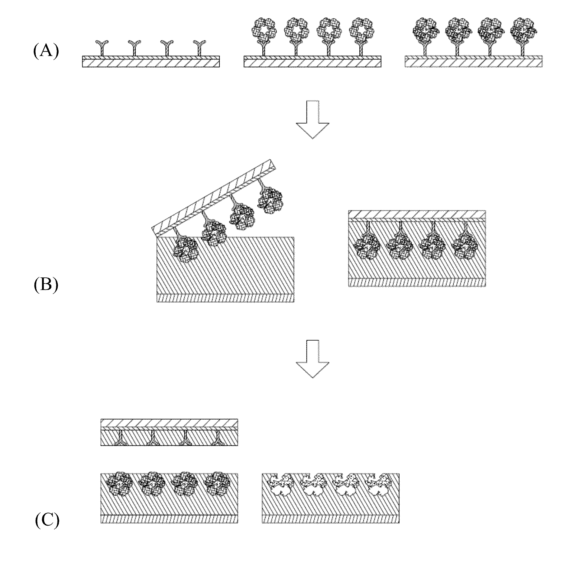 C-reactive protein imprinted polymer film and microchip system utilizing the same