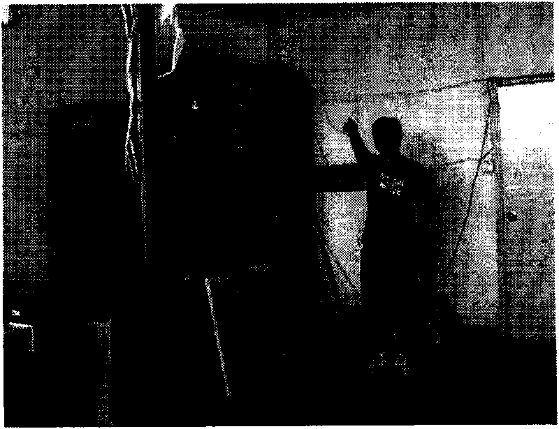 Method for positioning finger tips of directed gestures