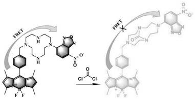 A two-photon probe based on fluorescence energy resonance transfer mechanism and its application