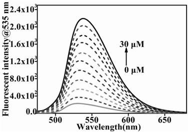 A two-photon probe based on fluorescence energy resonance transfer mechanism and its application