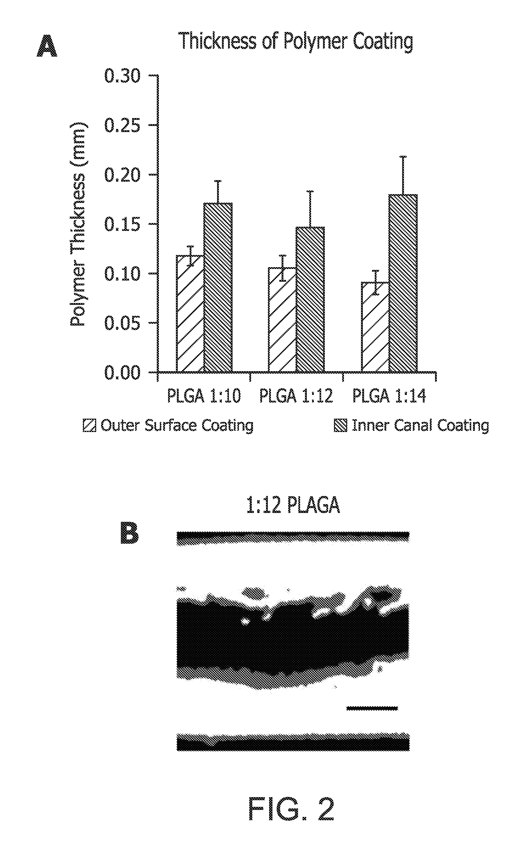 Compositions and methods for bioactive coatings to improve allograft incorporation