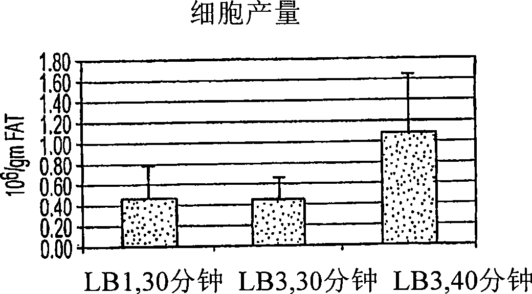 Method for endothelial cell extraction from adipose tissues