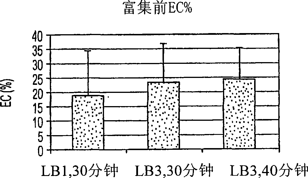 Method for endothelial cell extraction from adipose tissues