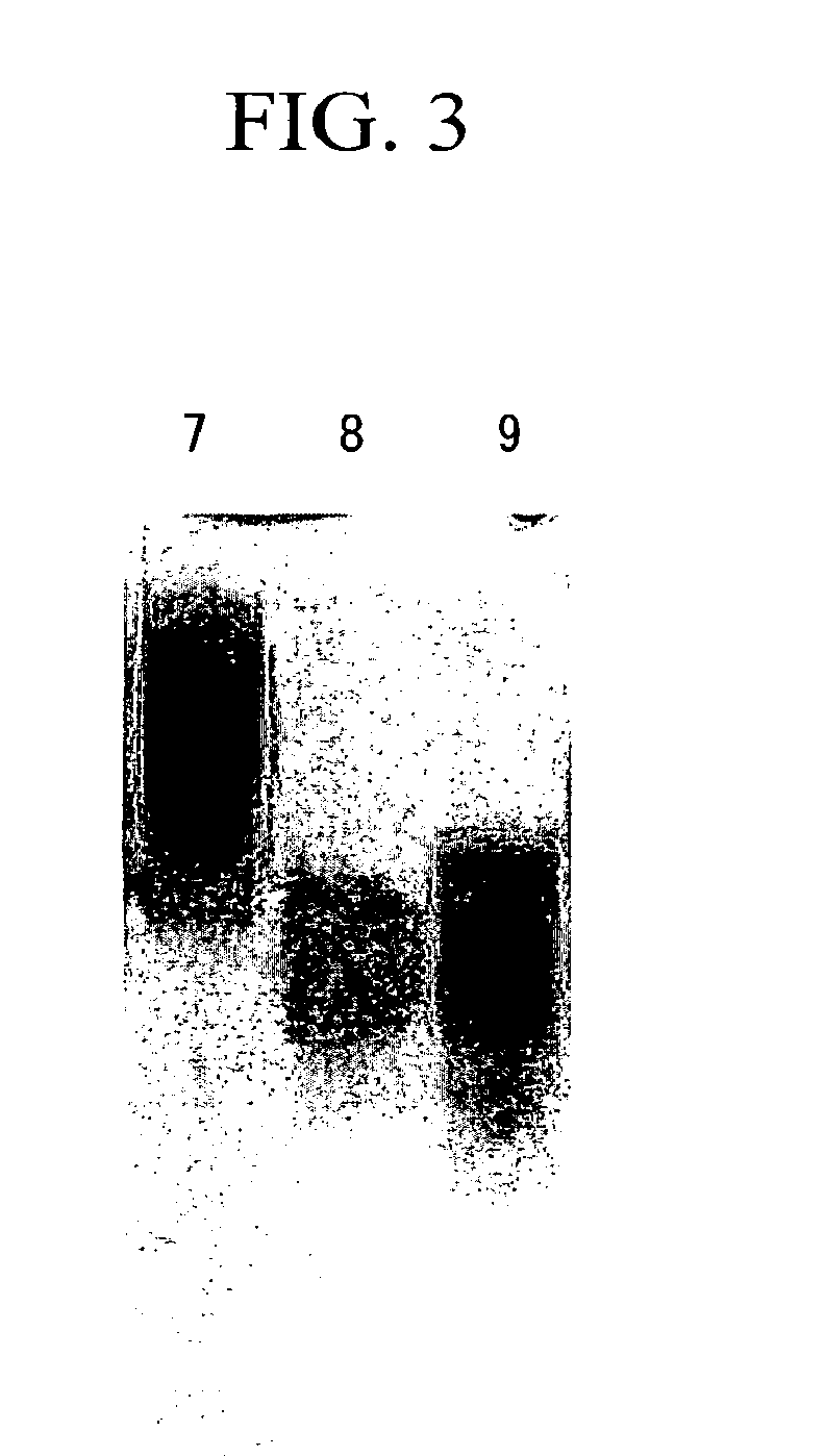 Coenzyme-linked glucose dehydrogenase and polynucleotide encoding the same