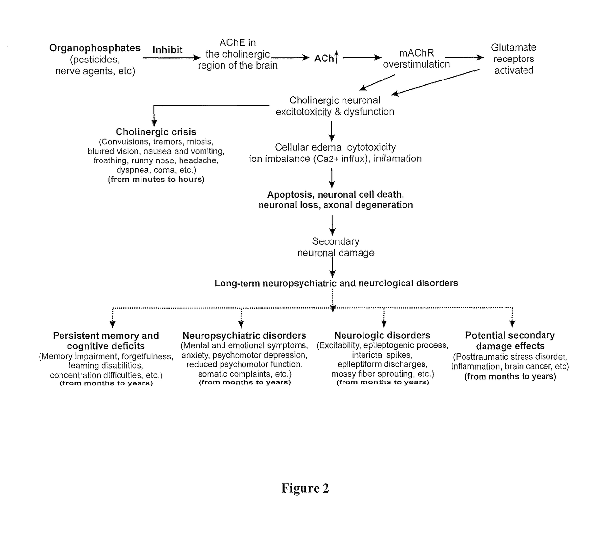 Method of treating organophosphate intoxication by administration of neurosteroids