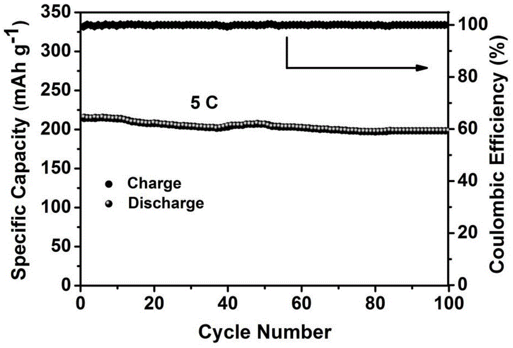Method for preparing high-coulombic-efficiency lithium ion battery negative pole material chrysanthemum-shaped nanometer titania