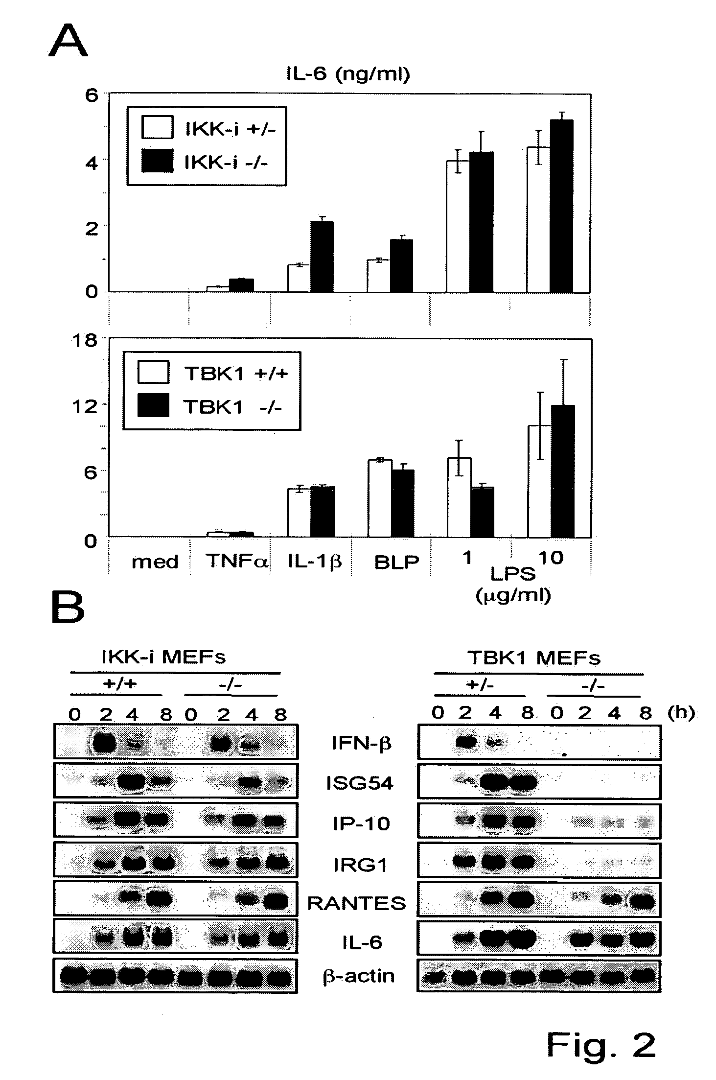 Screening method with the use of TBK1 knockout mouse