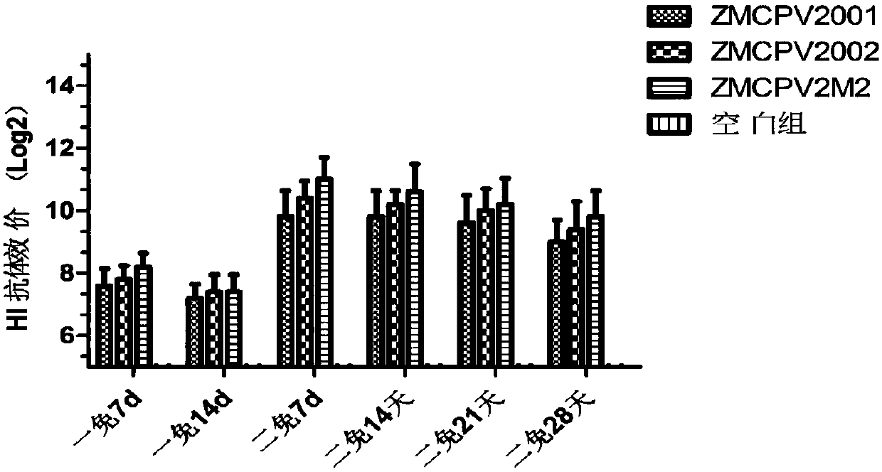 Canine parvovirus synthetic peptide vaccine as well as preparation method and application thereof