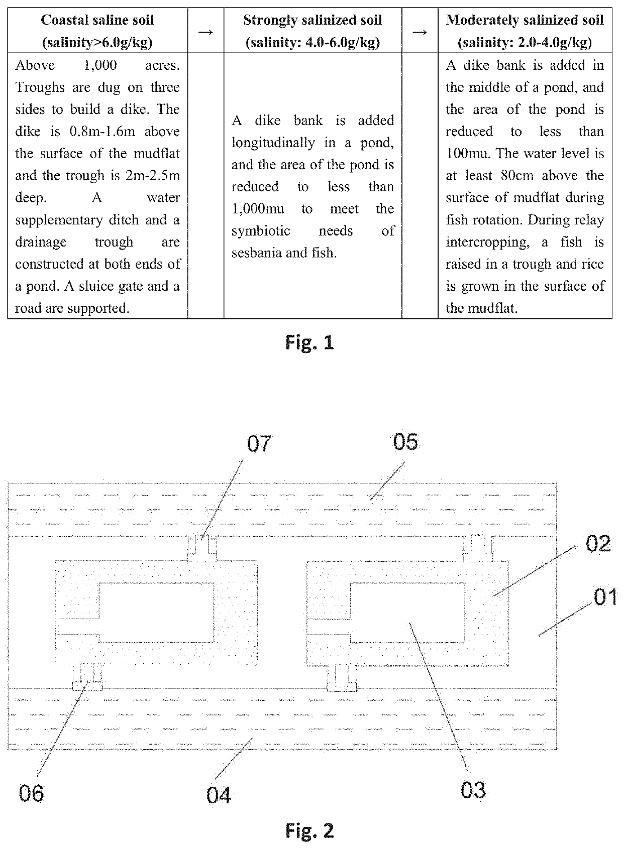 Method for protecting ecology of coastal mudflat and system used in the method