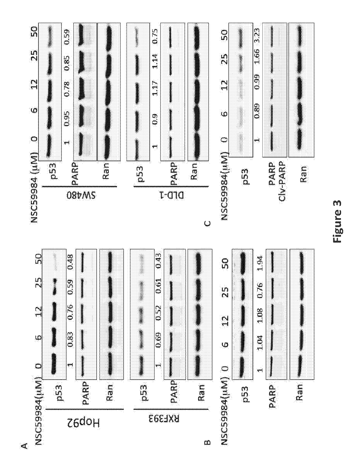 A Compound For Anti-Cancer Therapy That Acts By Targeting GOF Mutant P53 And Stimulates P73 To Restore The P53 Pathway Signaling