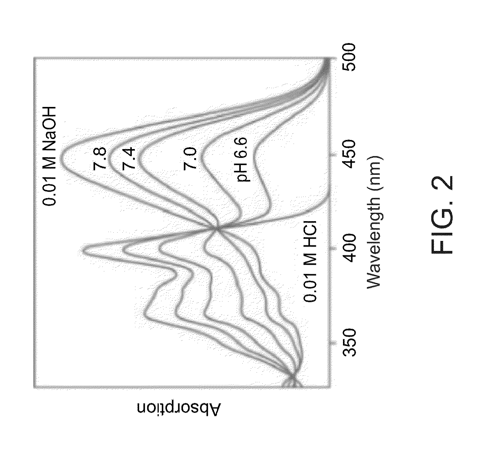 Methods of monitoring and analyzing metabolic activity profiles diagnostic and therapeutic uses of same