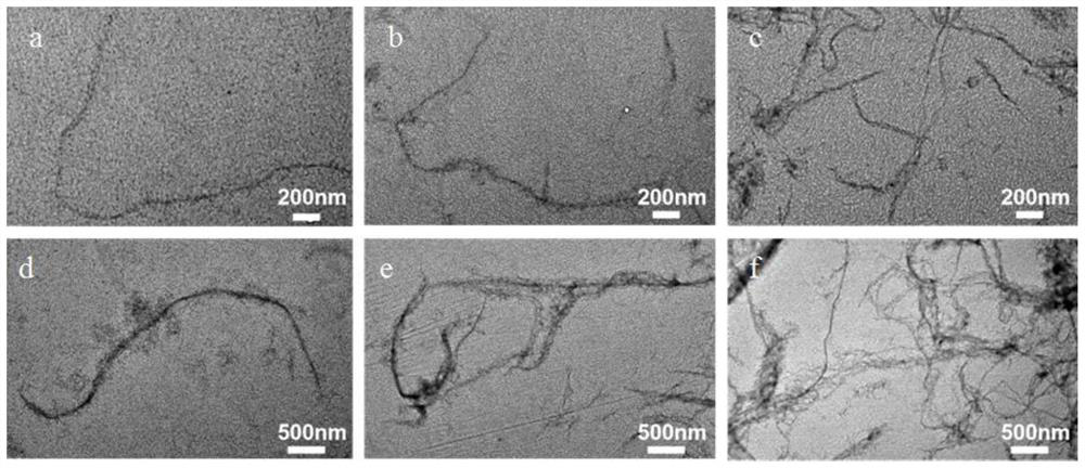 Shape memory chitosan hydrogel and preparation method thereof