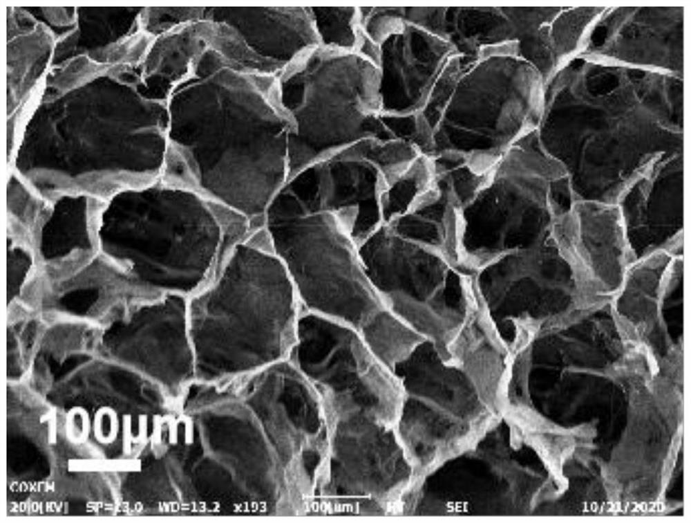 Shape memory chitosan hydrogel and preparation method thereof