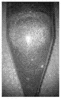 Multi-ion doped large-size lanthanum bromide single crystal scintillator and preparation method thereof