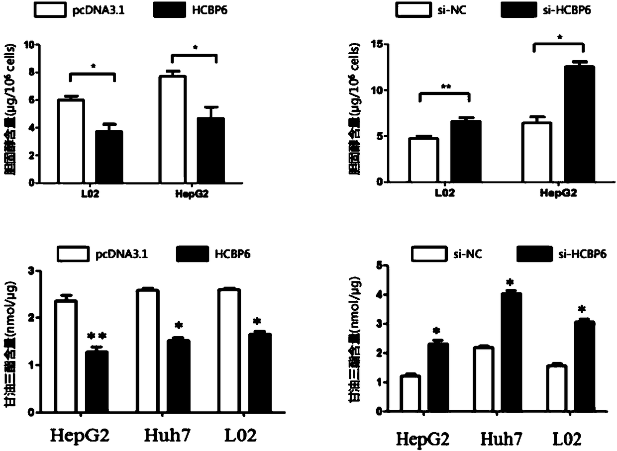 Medicine and treatment method for treating fatty liver