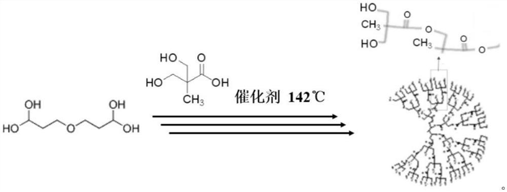 A high-strength environmentally friendly lightweight polyurethane foam using hyperbranched polyester polyol as a crosslinking agent and its preparation method