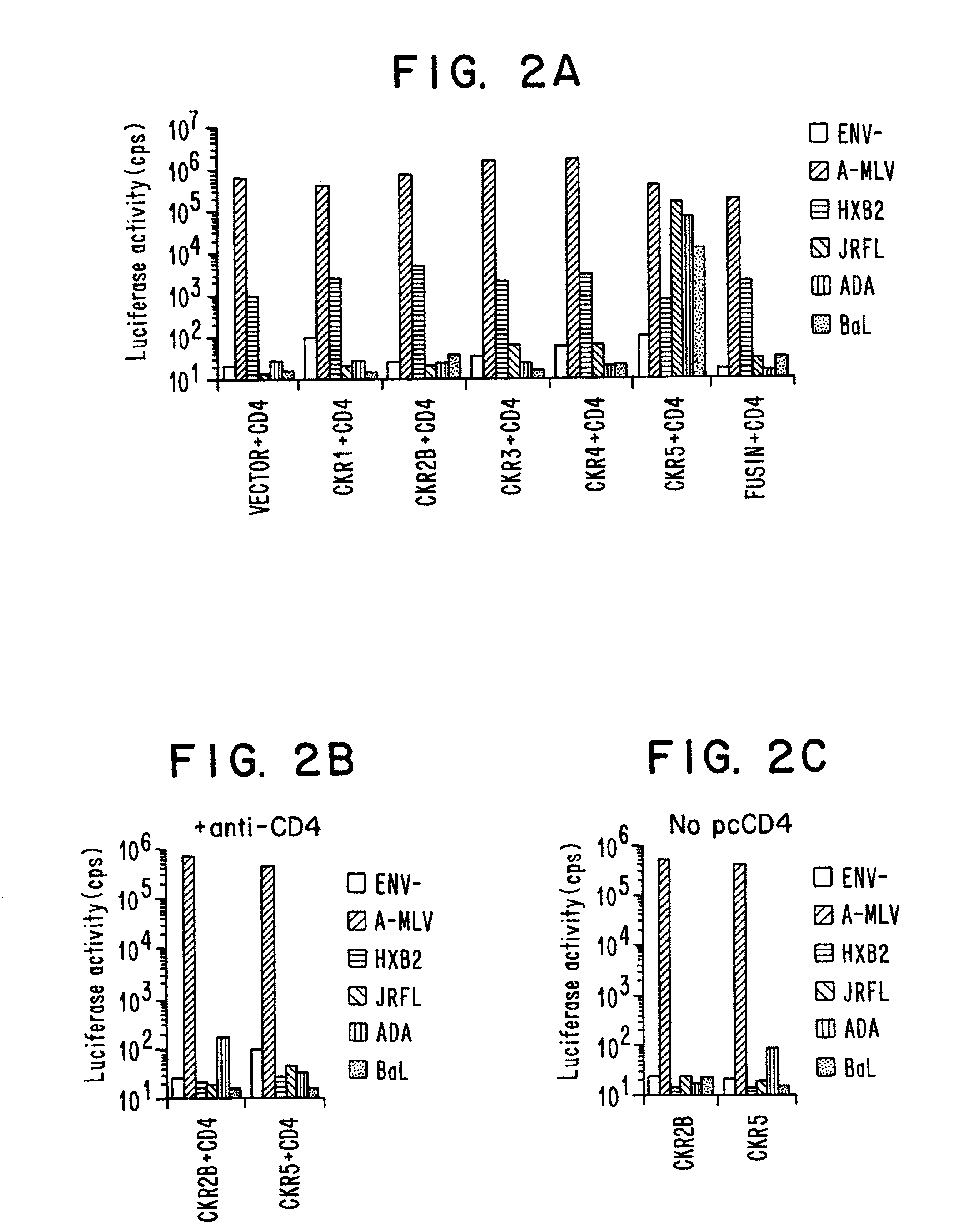 Methods of identifying g-couple receptors associated with macrophage-trophic HIV, and diagnostic and therapeutic uses thereof