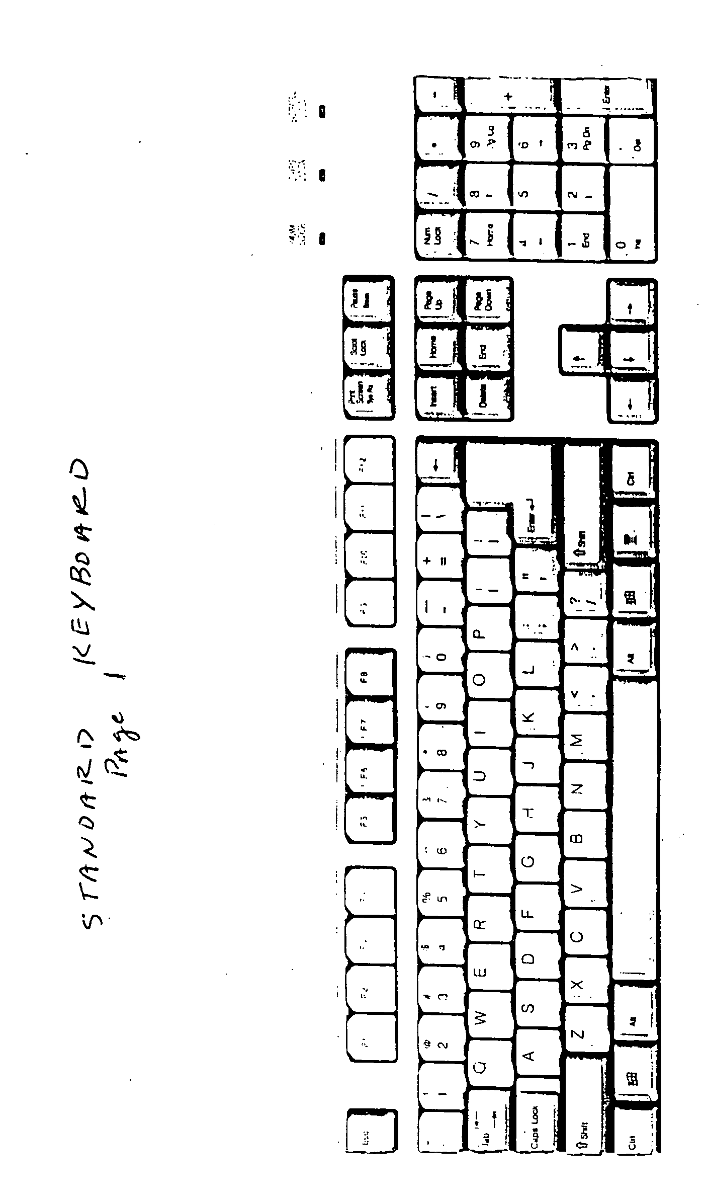 Dual numerical keyboard based on dominance