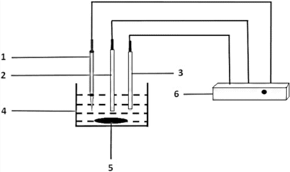 Acupuncture needle-based working electrode electrochemical sensor for detecting trace heavy metals