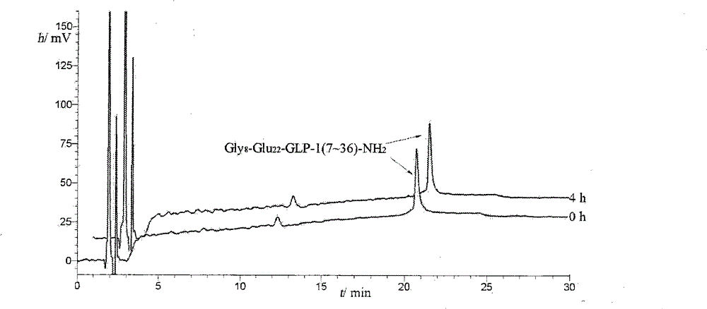 Novel glucagon-like peptide-1(GLP-1) analogues and use thereof