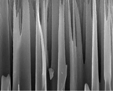 Gas-solid phase reaction double-noble metal catalyst and preparation method thereof