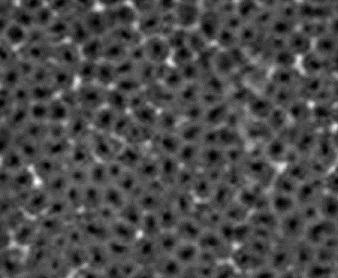 Gas-solid phase reaction double-noble metal catalyst and preparation method thereof