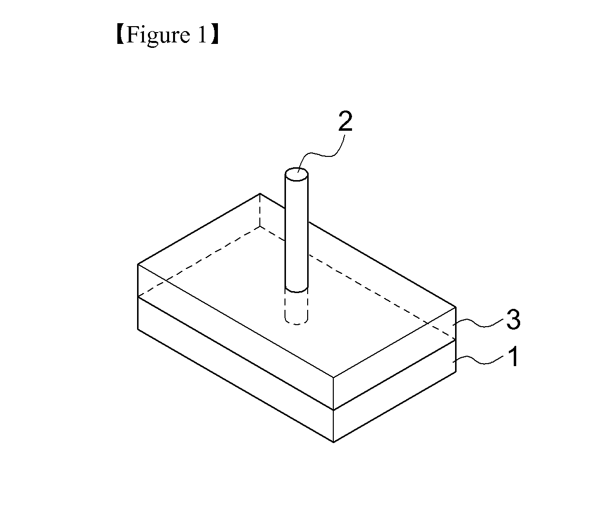 Neural Element Comprising Nanowires and Support Layer