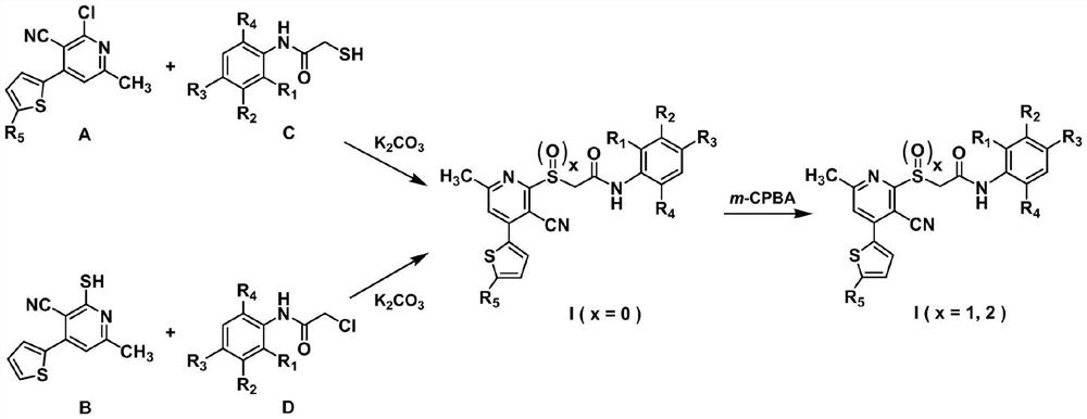 Acetylamine derivative containing thienyl pyridine and sulfur group and preparation method and application thereof