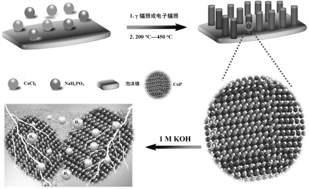 Cop growth on the surface of a conductive substrate  <sub>x</sub> o  <sub>y</sub> Nanoarray Composite Material and Its Preparation and Application