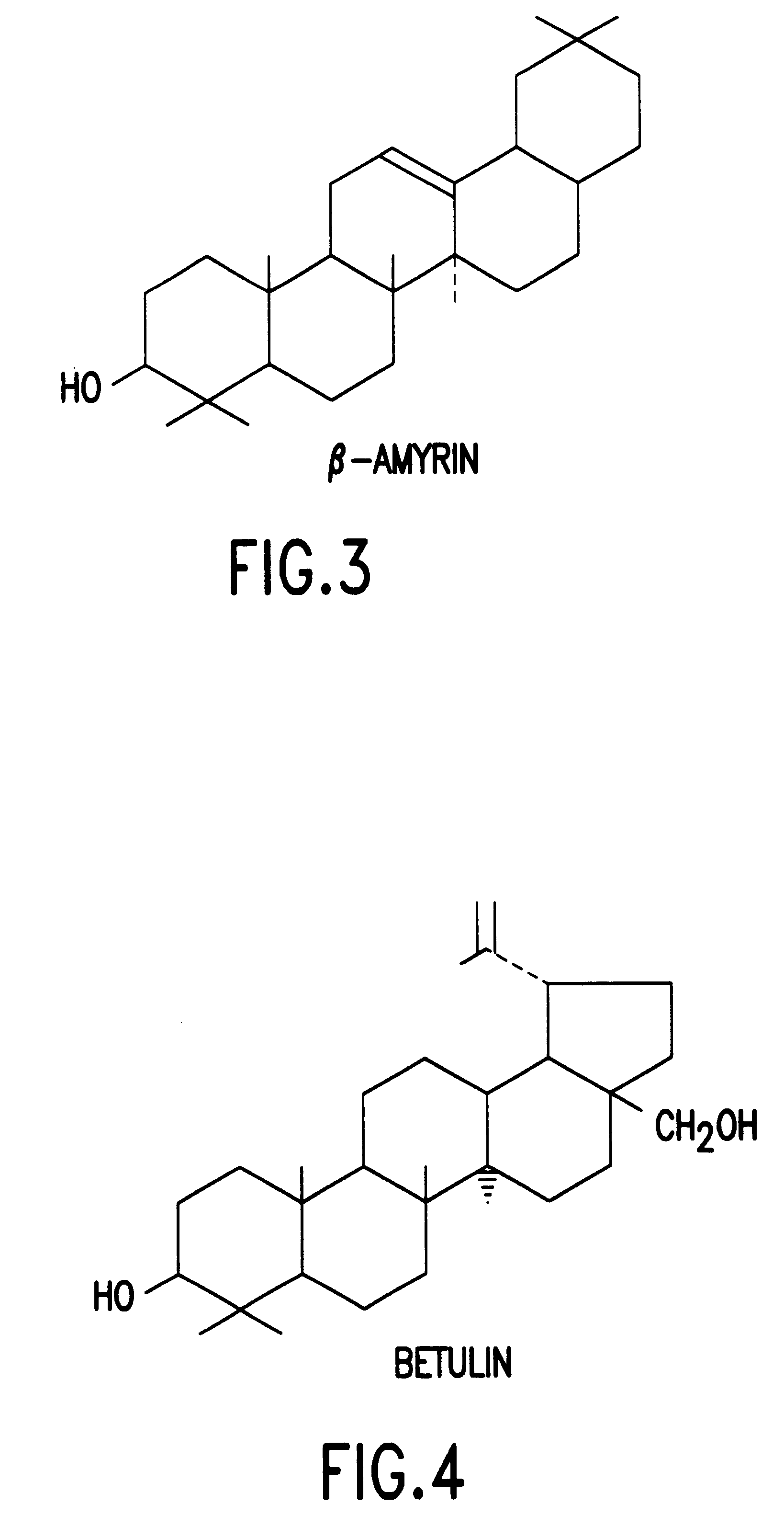 Method for extraction and purification of biologically useful molecules from a mangrove plant Salvadora persica L