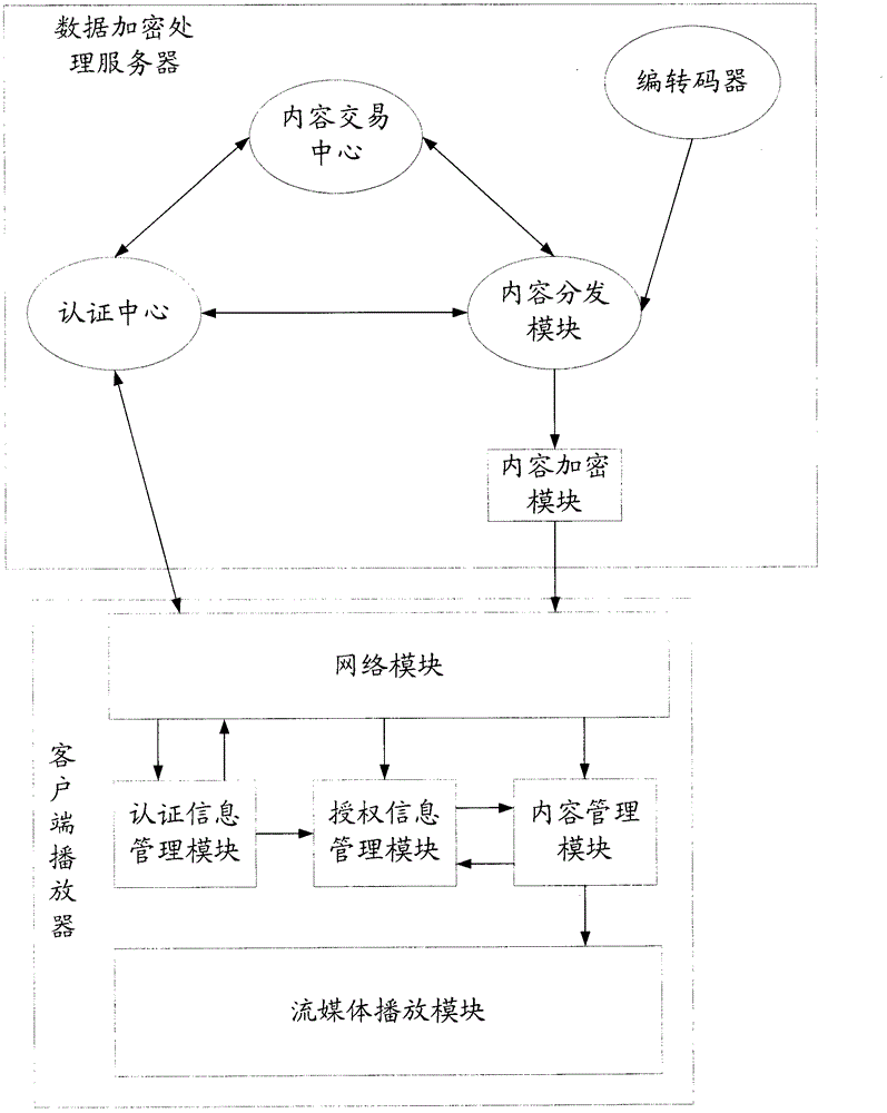 DRM-based streaming media playing system