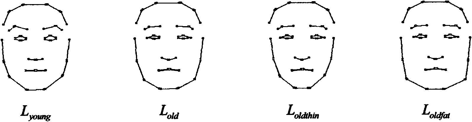 Human face image age changing method based on average face and aging scale map
