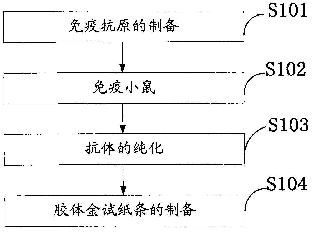 Method for rapidly detecting enterohemorrhagic Escherichia coli