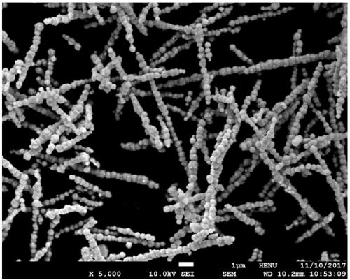 NiO-ZnO ball-chain-shaped nano-material and preparation method and application thereof