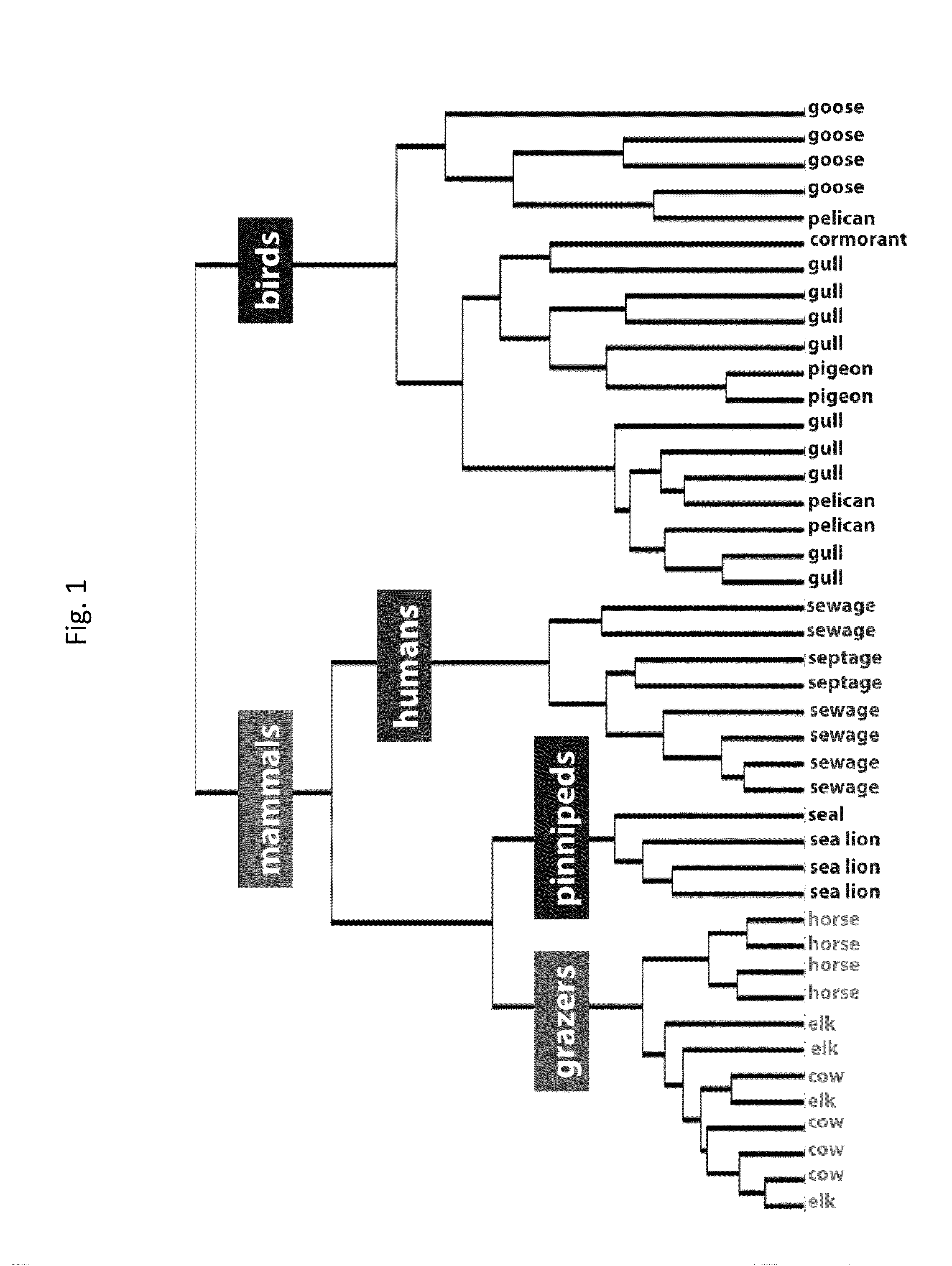 Methods and compositions for identification of source of microbial contamination in a sample